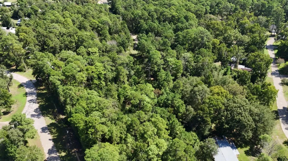 226 N Canyon Drive Onalaska, TX 77360