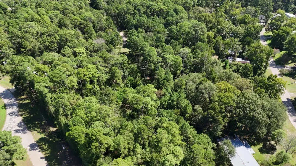 226 N Canyon Drive Onalaska, TX 77360