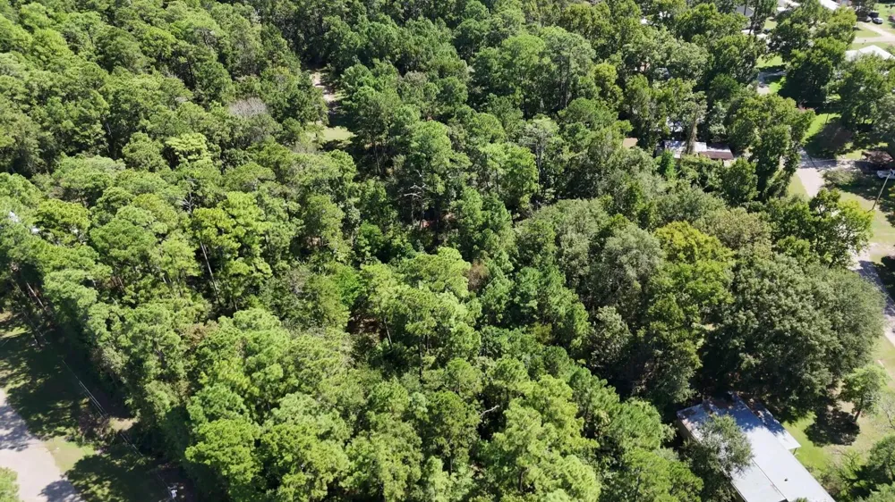 226 N Canyon Drive Onalaska, TX 77360