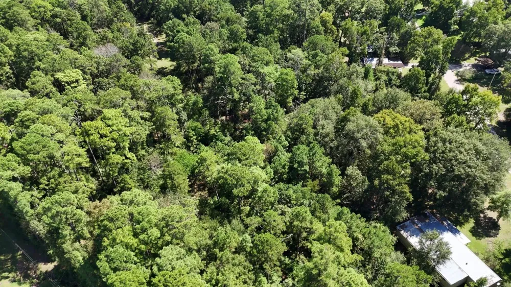 226 N Canyon Drive Onalaska, TX 77360