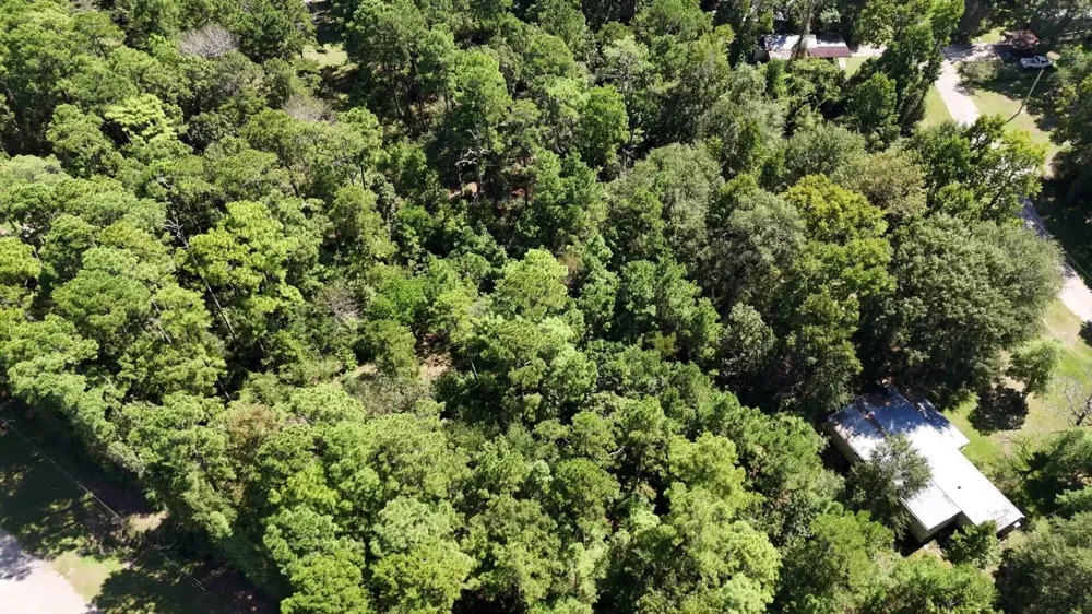 226 N Canyon Drive Onalaska, TX 77360