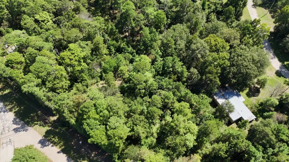 226 N Canyon Drive Onalaska, TX 77360