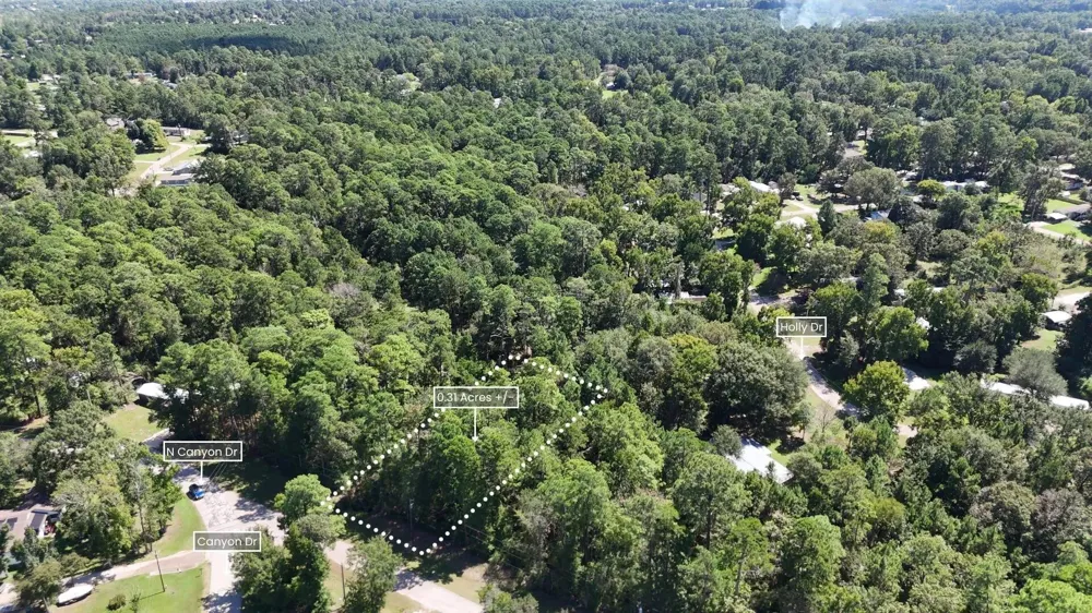226 N Canyon Drive Onalaska, TX 77360