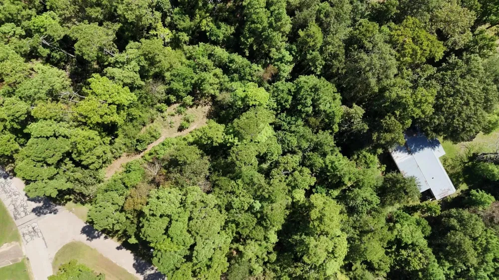 226 N Canyon Drive Onalaska, TX 77360