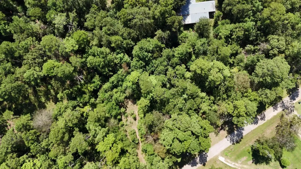 226 N Canyon Drive Onalaska, TX 77360