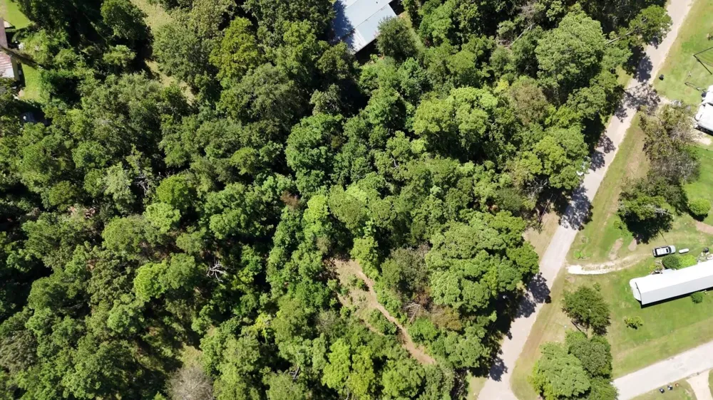 226 N Canyon Drive Onalaska, TX 77360