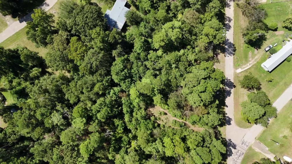226 N Canyon Drive Onalaska, TX 77360