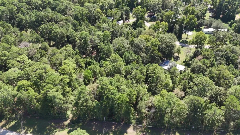 226 N Canyon Drive Onalaska, TX 77360