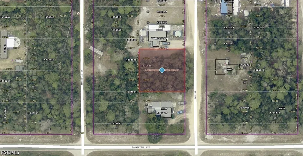 Oak Street Paisley, FL 32767