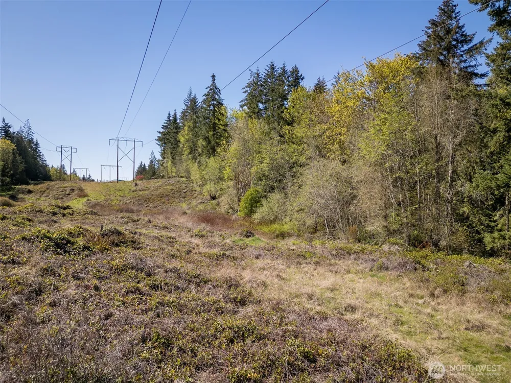 0 Roy Street Port Angeles, WA 98362