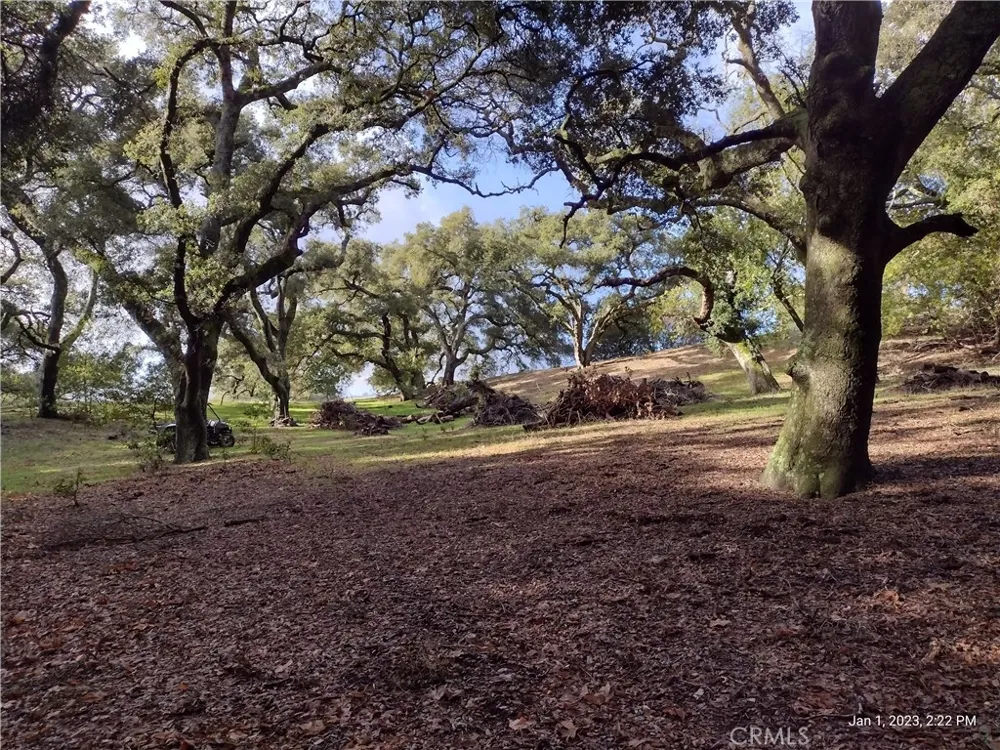 9500 Santa Rosa Creek Road Templeton, CA 93465