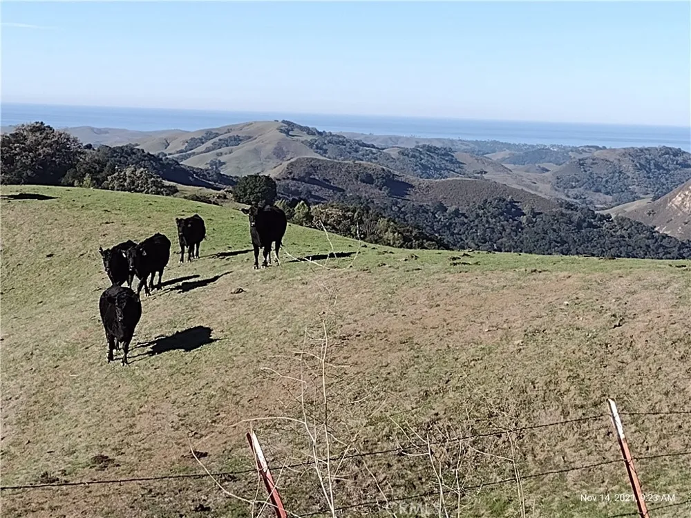 9500 Santa Rosa Creek Road Templeton, CA 93465