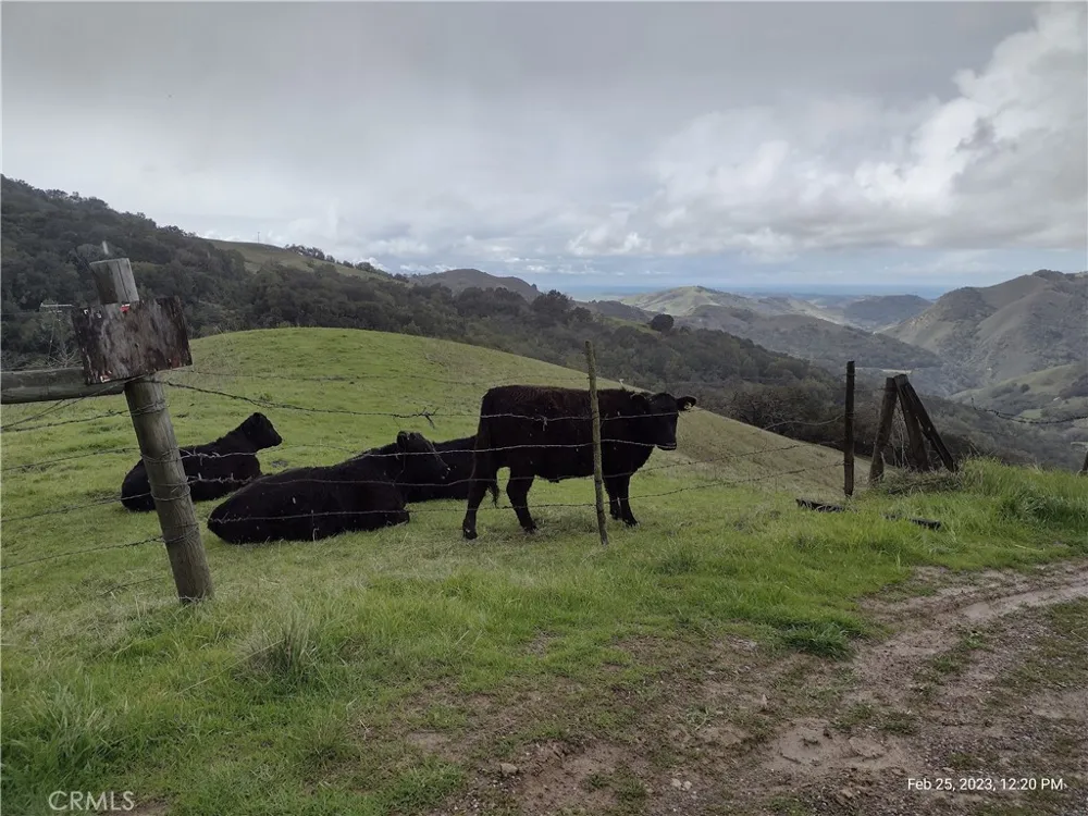 9500 Santa Rosa Creek Road Templeton, CA 93465
