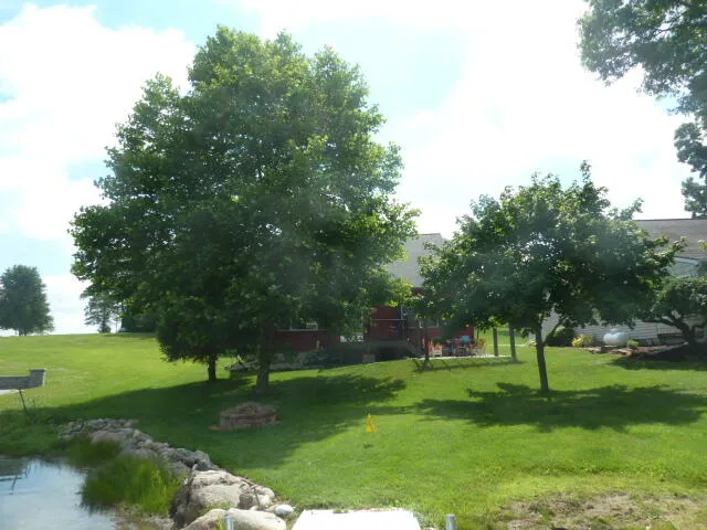 14376 Horn Drive Camden, MI 49232
