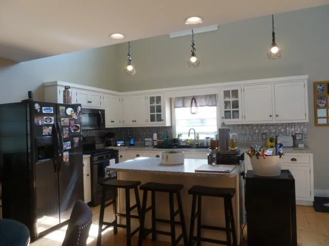 14376 Horn Drive Camden, MI 49232