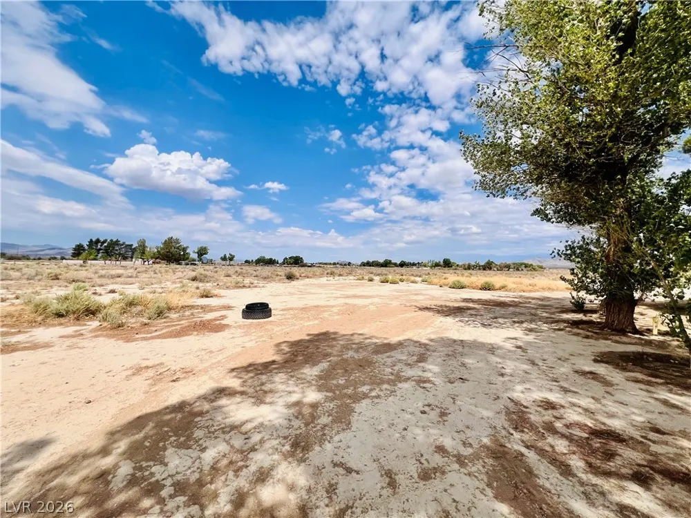 300 E Quartz Avenue Sandy Valley, NV 89019