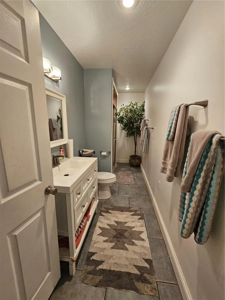 1607 MARTY DRIVE Pierson, FL 32180