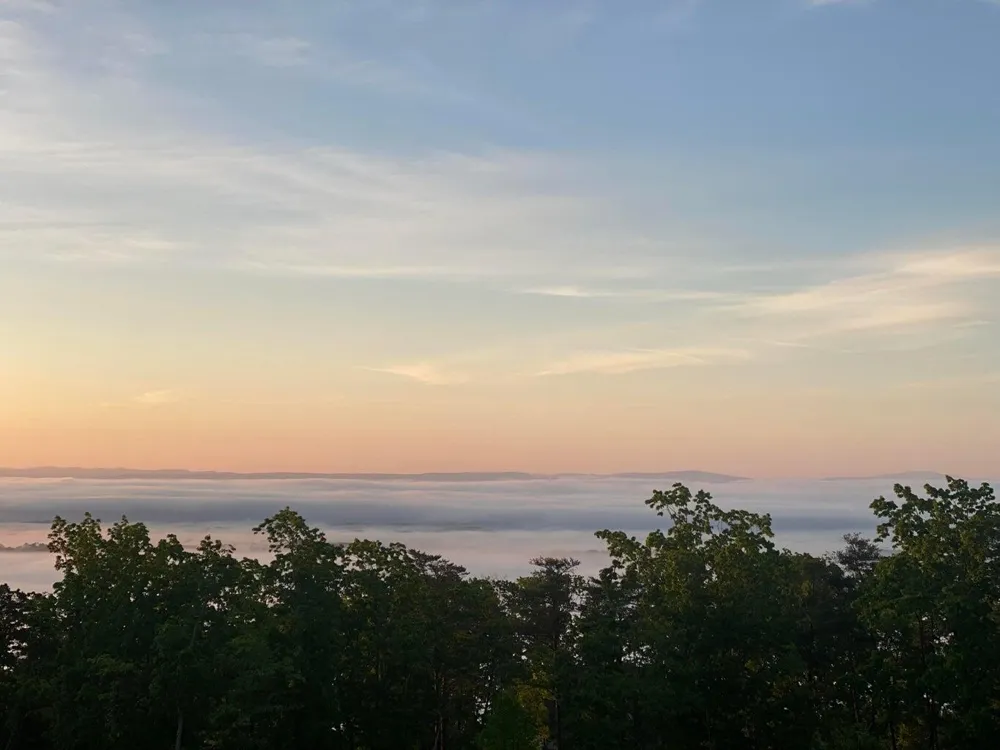 230 Duckwood Lane Evensville, TN 37332
