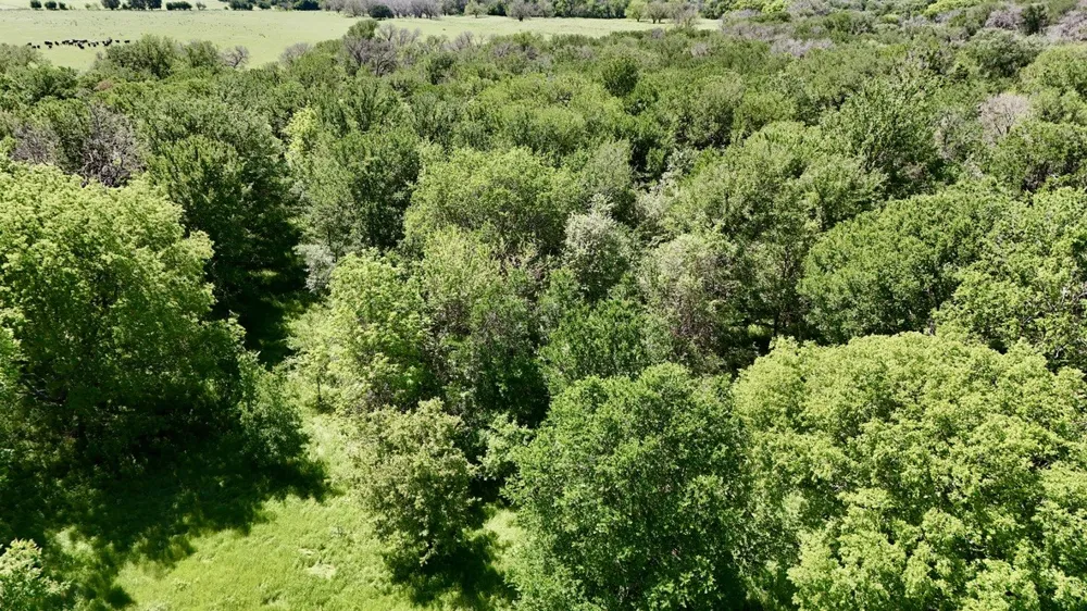 2031 County Road  3310 Valley Mills, TX 76689