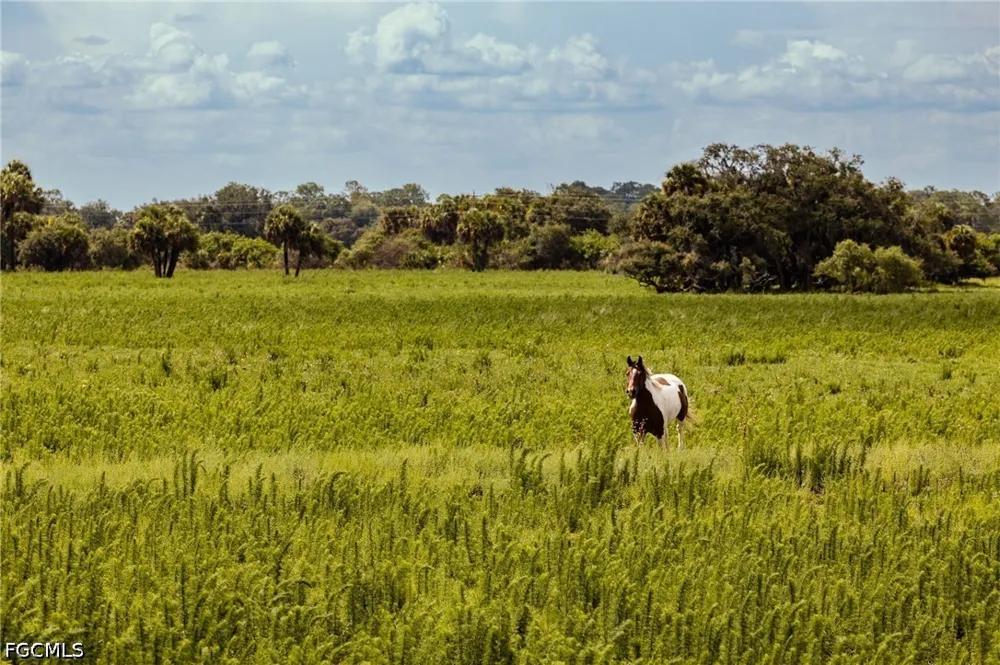 Dooley Grade Road Clewiston, FL 33440
