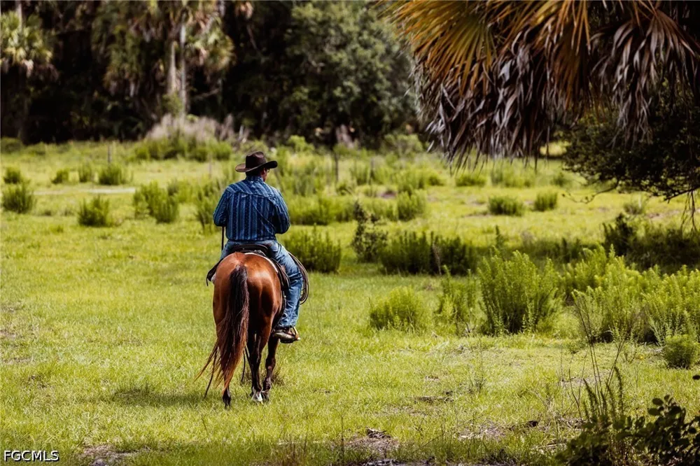 Dooley Grade Road Clewiston, FL 33440