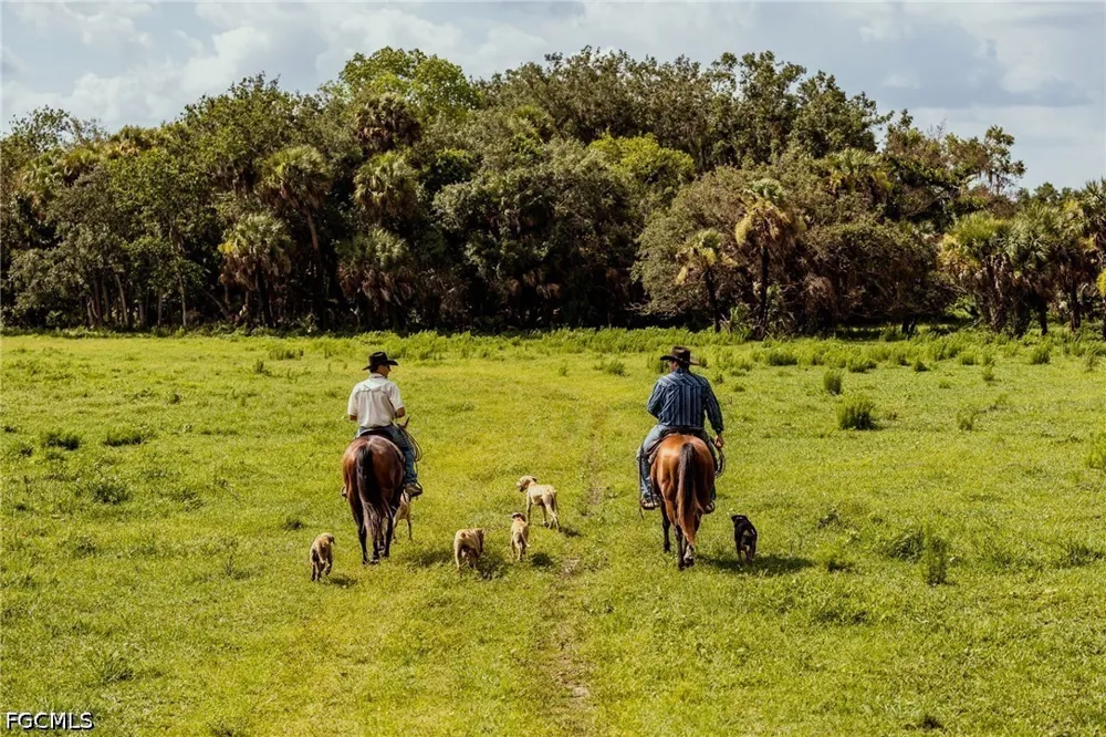 Dooley Grade Road Clewiston, FL 33440