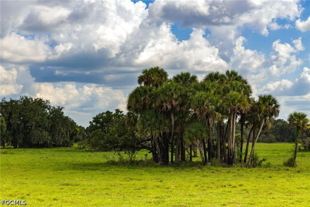 Dooley Grade Road Clewiston, FL 33440