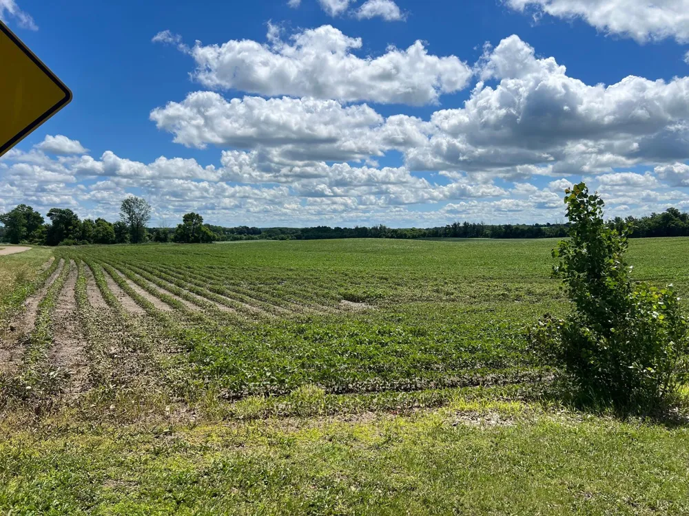 70041 350th Street Kimball, MN 55353