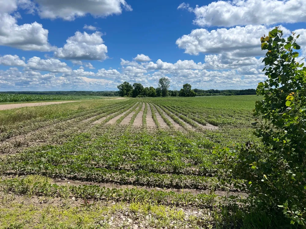 70041 350th Street Kimball, MN 55353