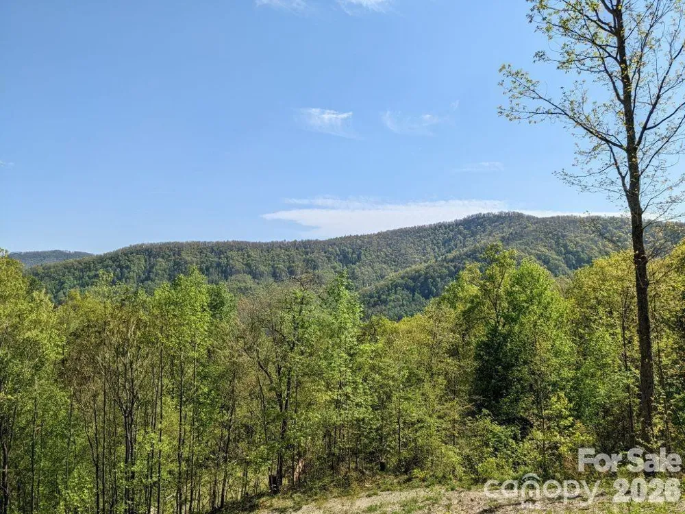 351 Kestrel Lane #T-67 Black Mountain, NC 28711