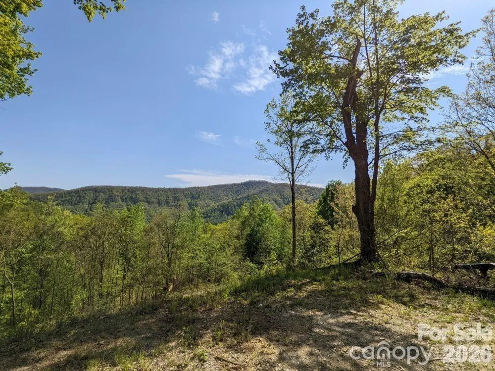 351 Kestrel Lane #T-67 Black Mountain, NC 28711