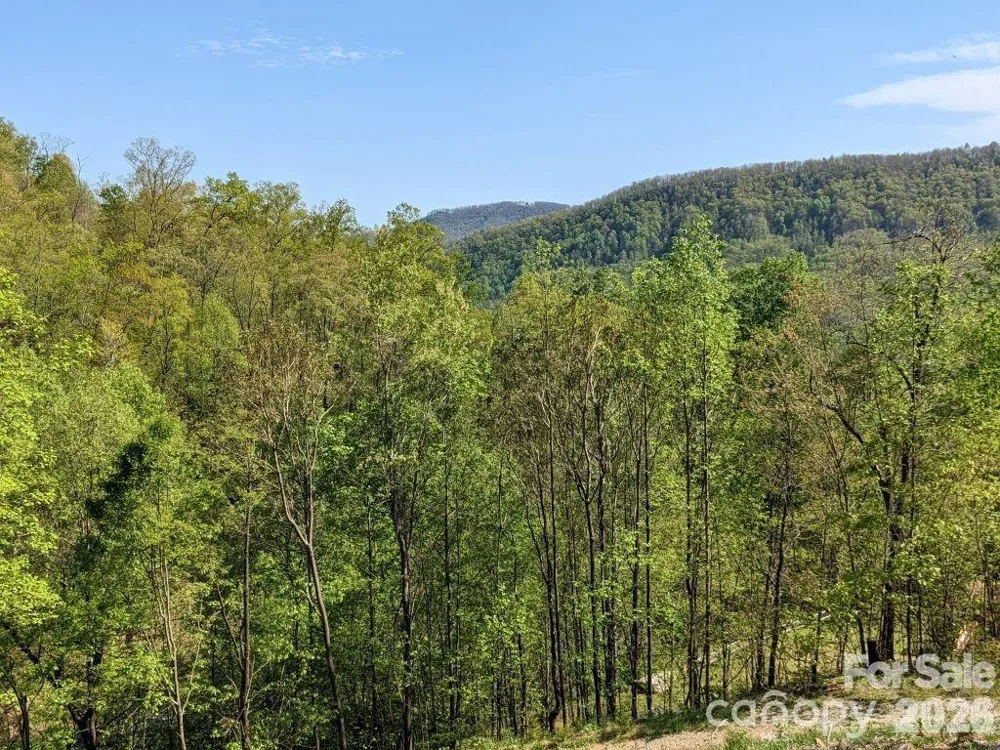 351 Kestrel Lane #T-67 Black Mountain, NC 28711