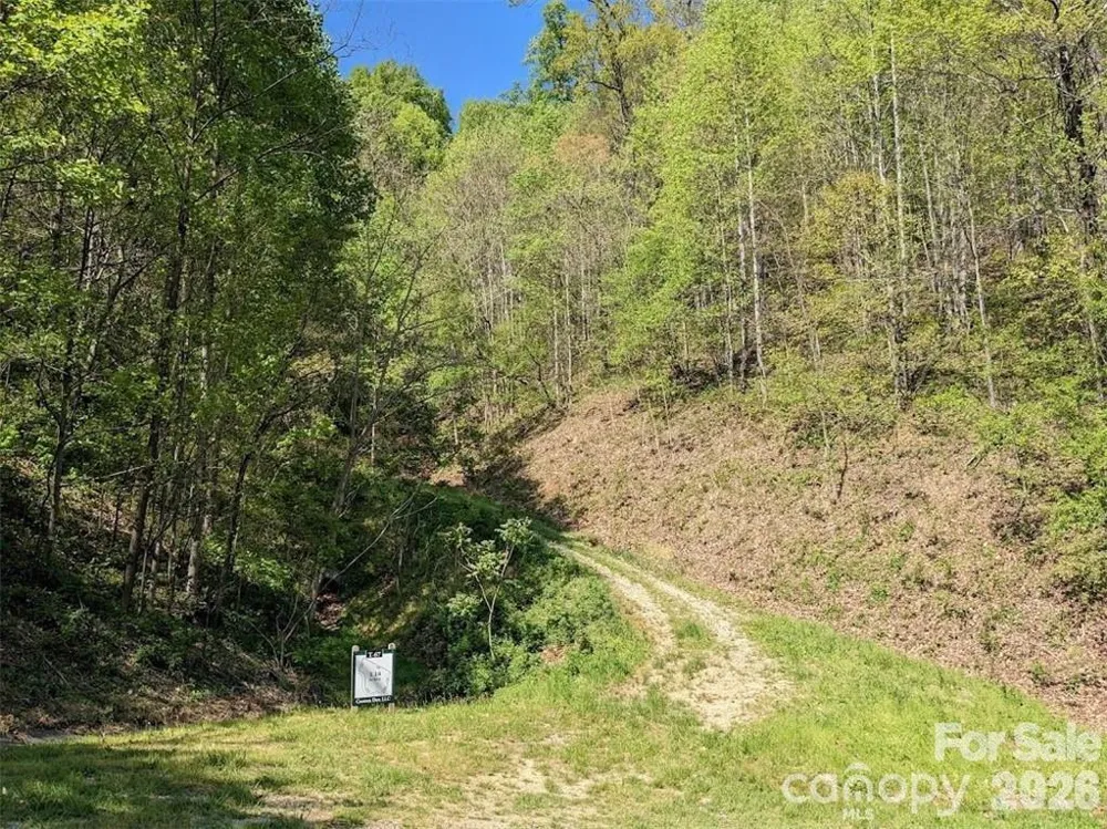 351 Kestrel Lane #T-67 Black Mountain, NC 28711