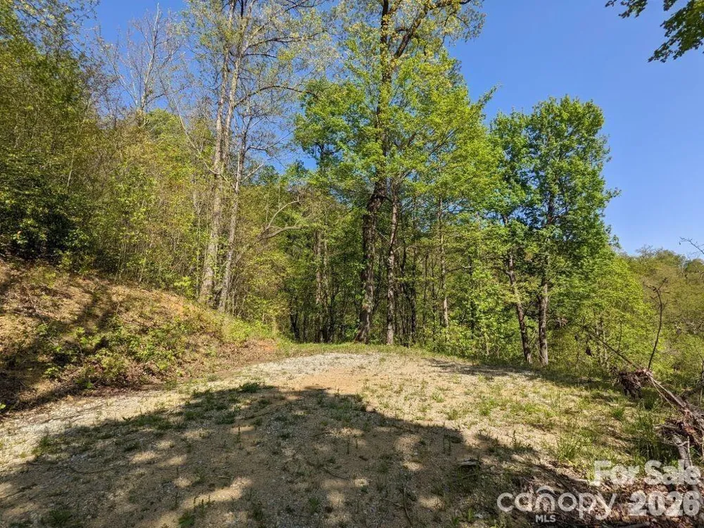 351 Kestrel Lane #T-67 Black Mountain, NC 28711