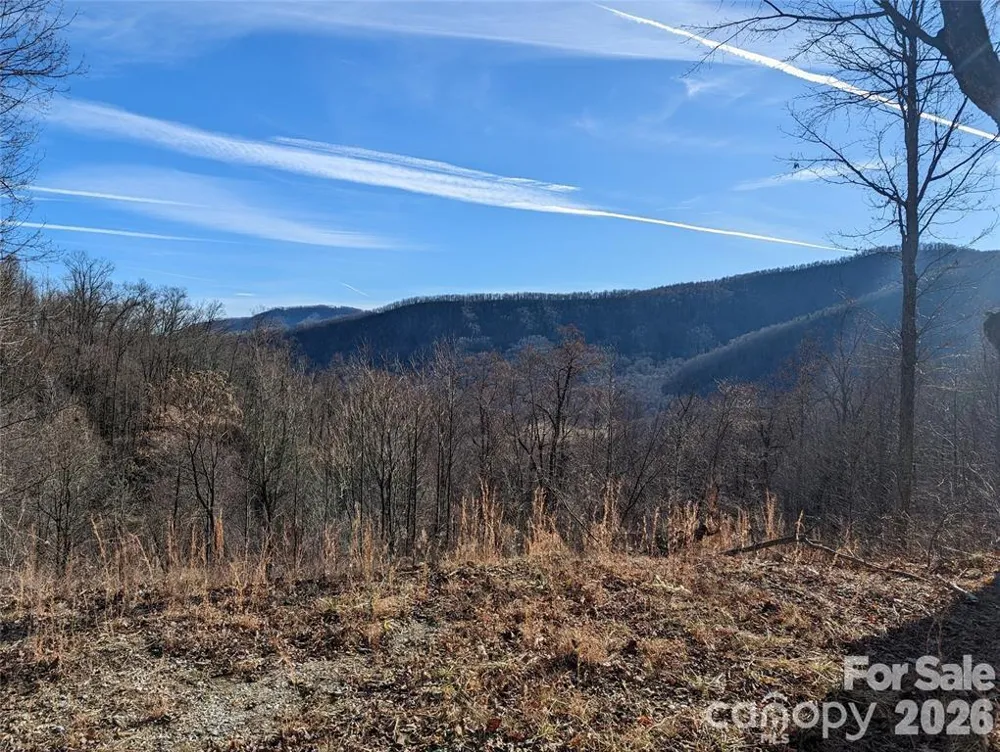 351 Kestrel Lane #T-67 Black Mountain, NC 28711