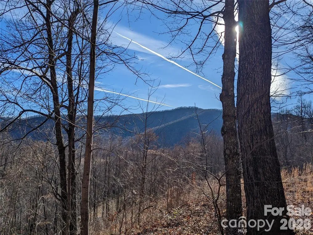 351 Kestrel Lane #T-67 Black Mountain, NC 28711