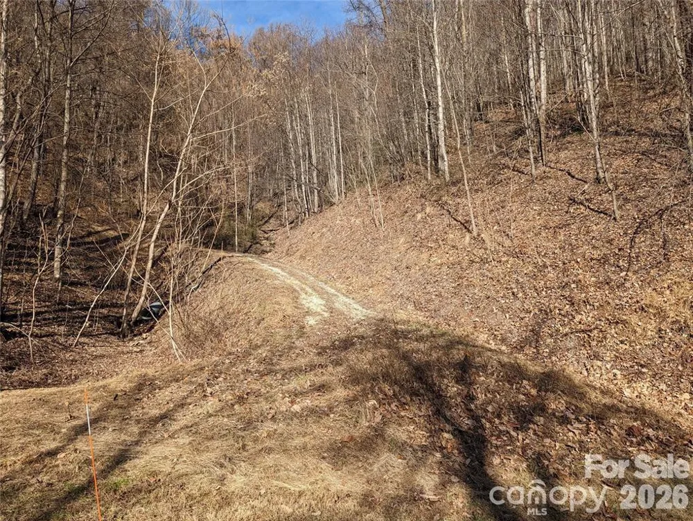 351 Kestrel Lane #T-67 Black Mountain, NC 28711