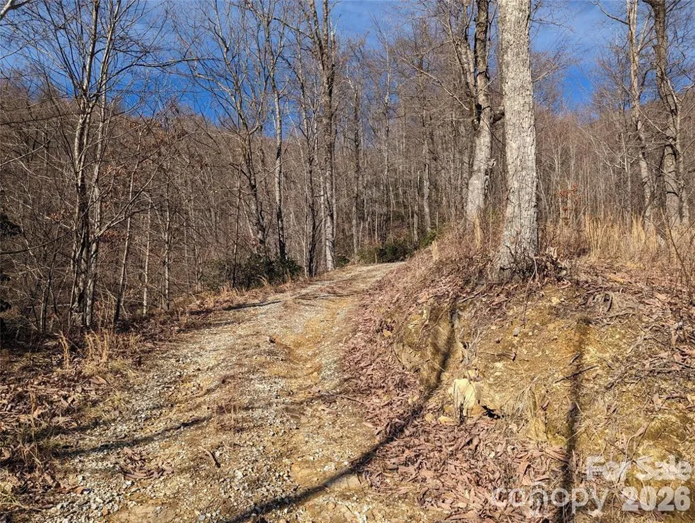351 Kestrel Lane #T-67 Black Mountain, NC 28711