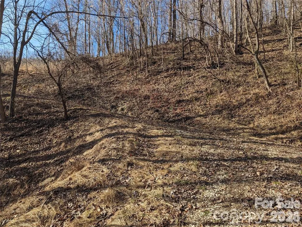351 Kestrel Lane #T-67 Black Mountain, NC 28711