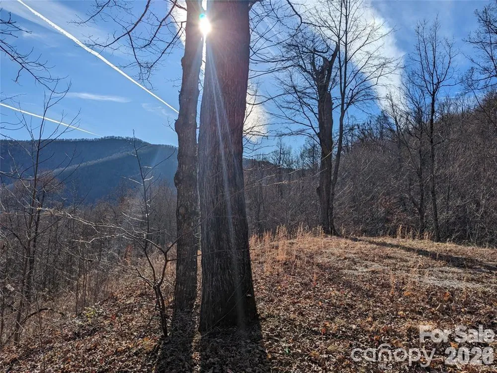 351 Kestrel Lane #T-67 Black Mountain, NC 28711