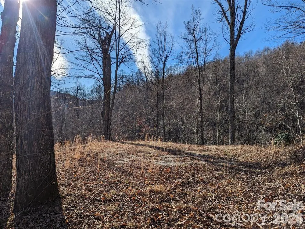 351 Kestrel Lane #T-67 Black Mountain, NC 28711
