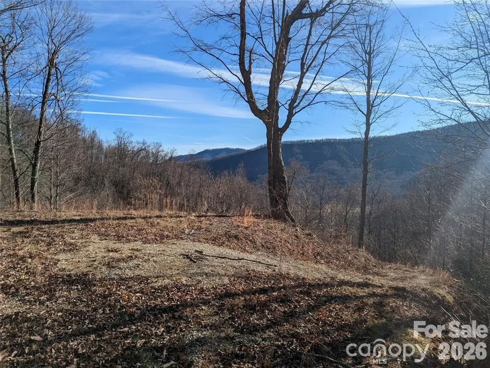 351 Kestrel Lane #T-67 Black Mountain, NC 28711