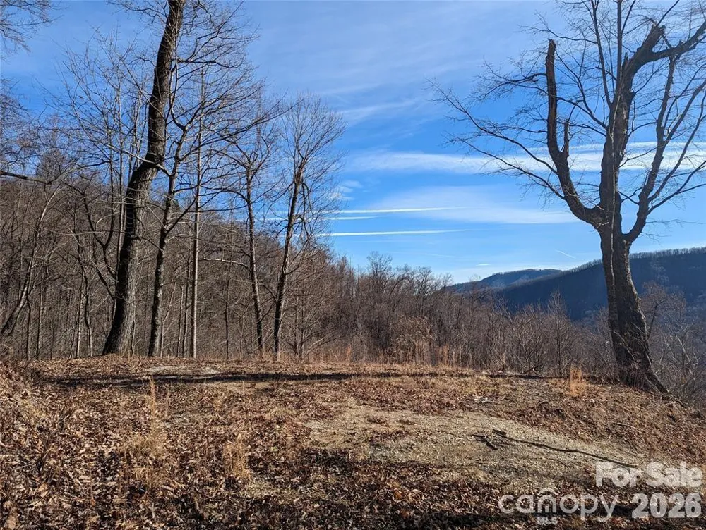 351 Kestrel Lane #T-67 Black Mountain, NC 28711