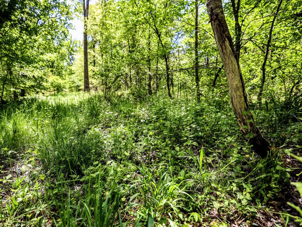 8 1/2 Mile Rd Burlington, MI 49029