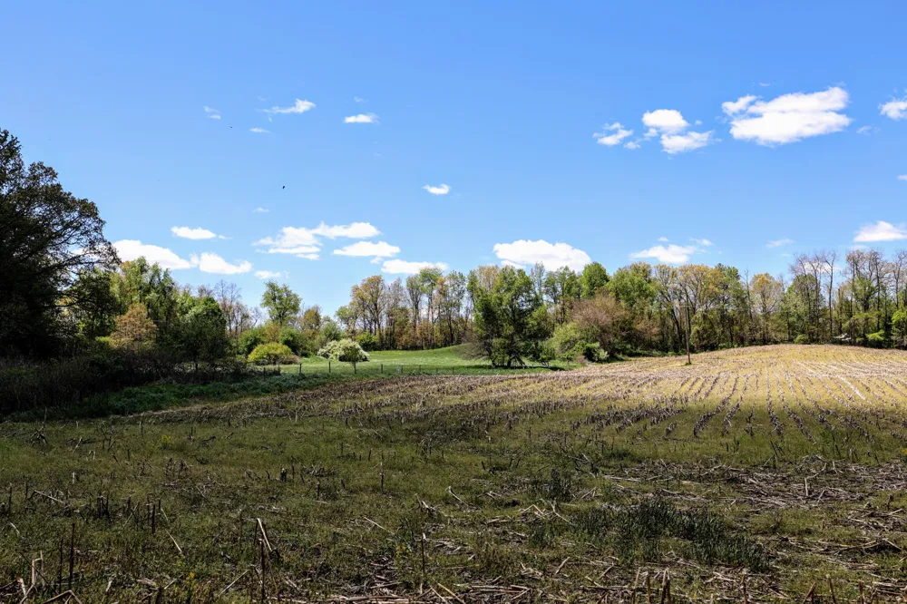 8 1/2 Mile Rd Burlington, MI 49029