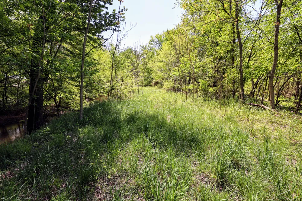 8 1/2 Mile Rd Burlington, MI 49029