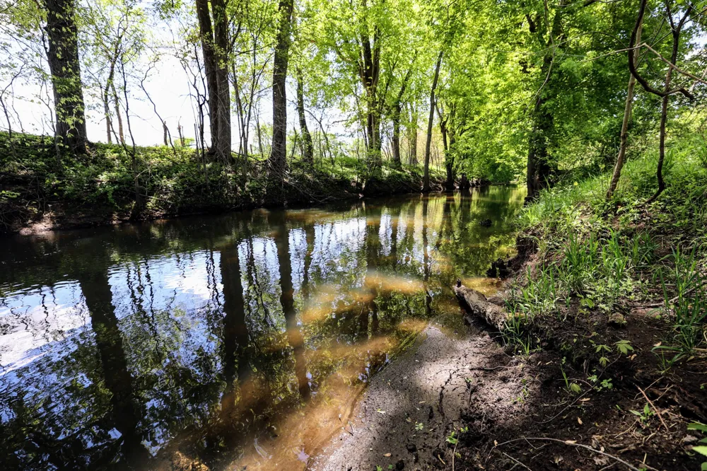 8 1/2 Mile Rd Burlington, MI 49029
