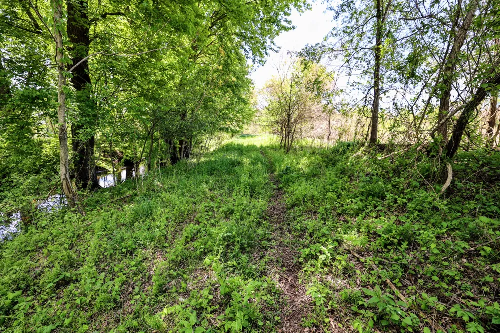 8 1/2 Mile Rd Burlington, MI 49029