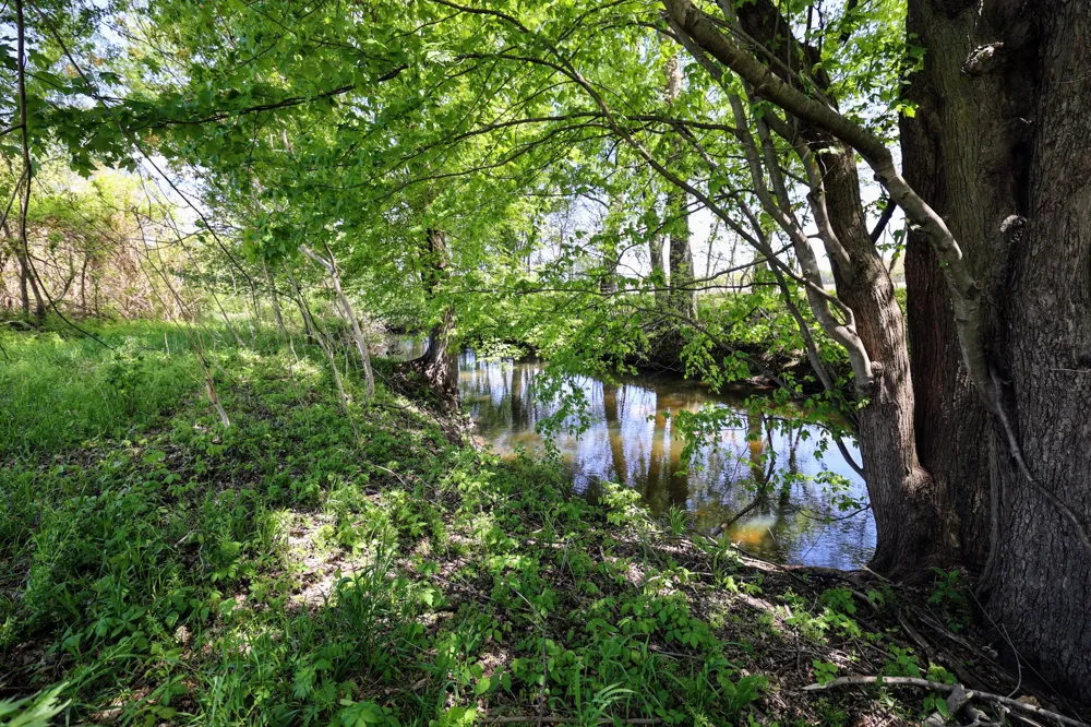 8 1/2 Mile Rd Burlington, MI 49029