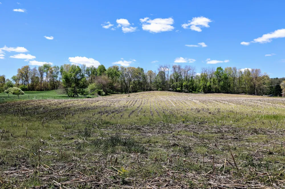 8 1/2 Mile Rd Burlington, MI 49029